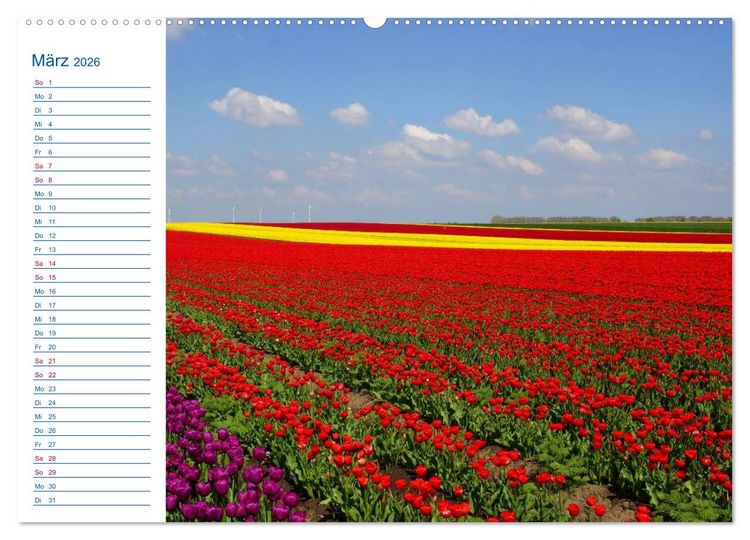 Produktbild: Magdeburg und Umgebung 2026 (hochwertiger Premium Wandkalender 2026 DIN A2 quer), Kunstdruck in Hochglanz