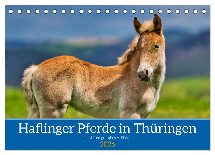 Produktbild: Haflinger Pferde in Th&uuml;ringen (Tischkalender 2026 DIN A5 quer), CALVENDO Monatskalender