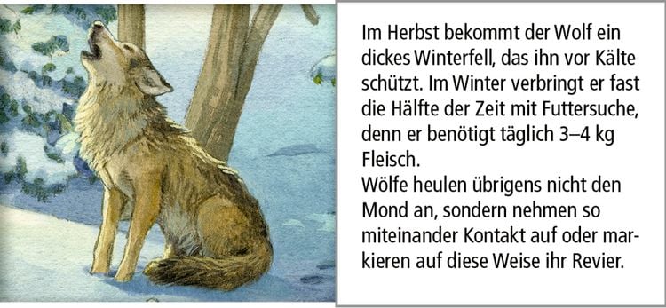 Produktbild: Sound-Adventskalender &ndash; H&ouml;rt ihr die Tiere im Winterwald?