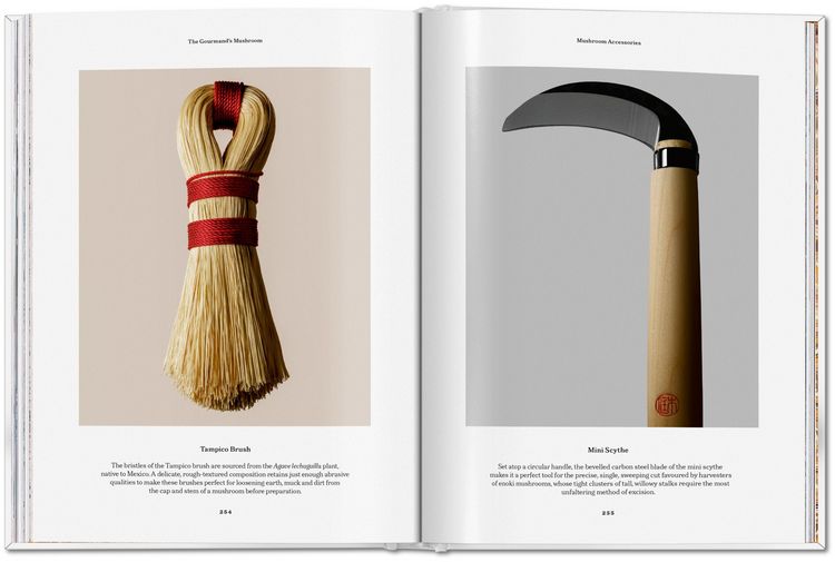 Produktbild: The Gourmand's Mushroom