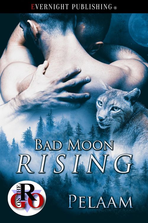 Produktbild: Bad Moon Rising