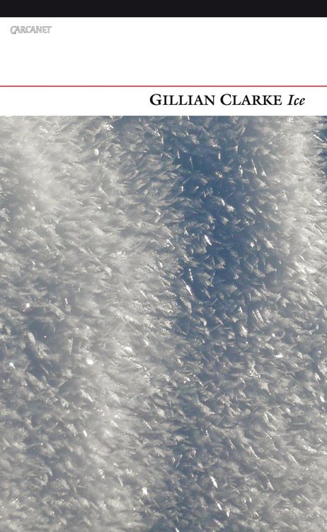 Produktbild: Ice