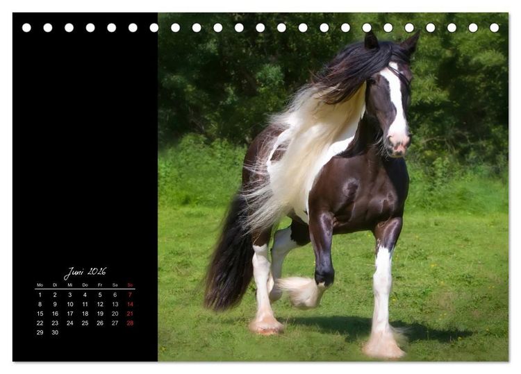 Produktbild: Irish Tinker (Tischkalender 2026 DIN A5 quer), CALVENDO Monatskalender