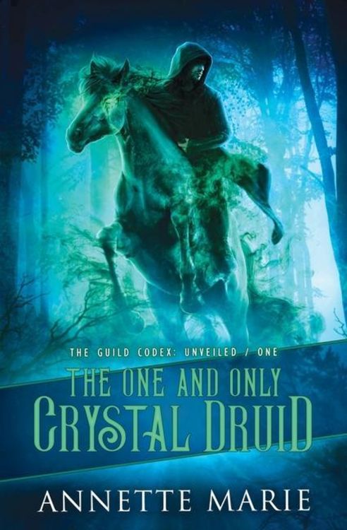 Produktbild: The One and Only Crystal Druid