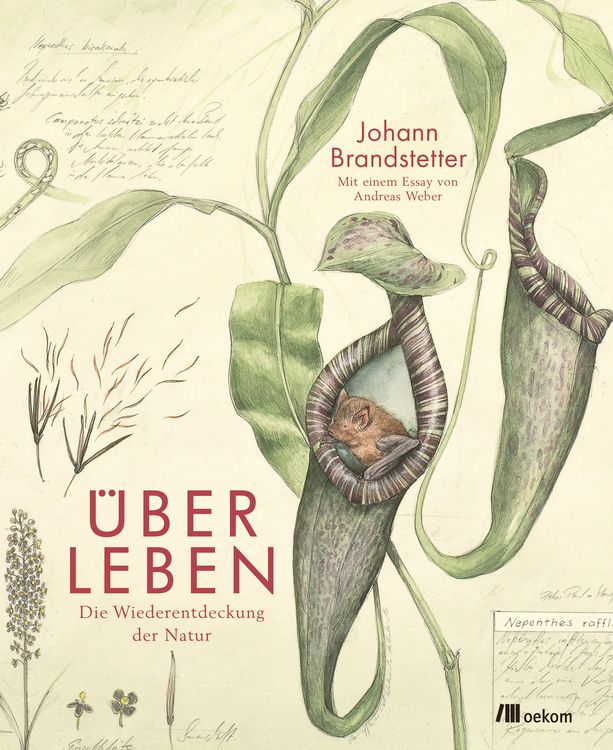 Produktbild: &Uuml;ber Leben
