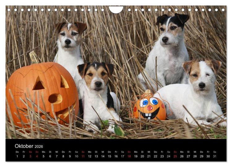 Produktbild: The Bravehearts und Freunde - Parson Russells (Wandkalender 2026 DIN A4 quer), CALVENDO Monatskalender