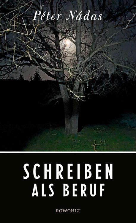 Produktbild: Schreiben als Beruf