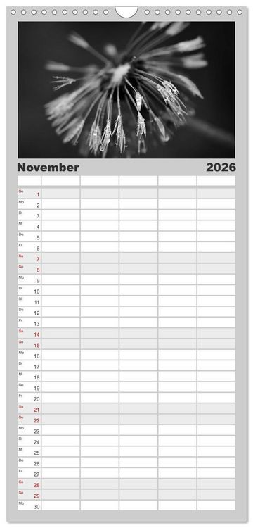 Produktbild: Familienplaner 2026 - Pusteblume - Impressionen in schwarzwei&szlig; mit 5 Spalten (Wandkalender, 21 x 45 cm) CALVENDO