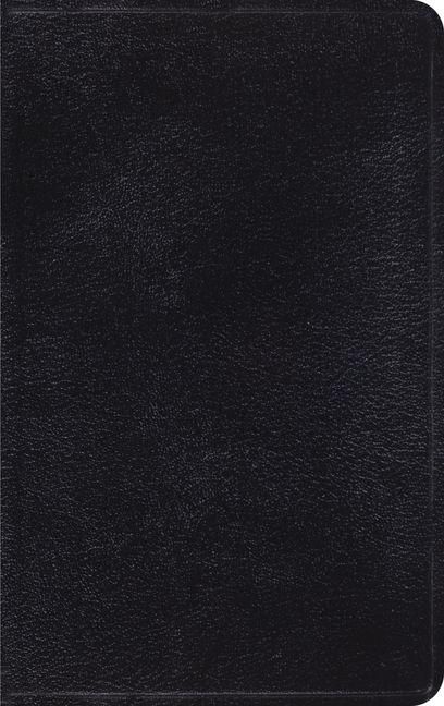 Produktbild: Classic Thinline Bible-Esv