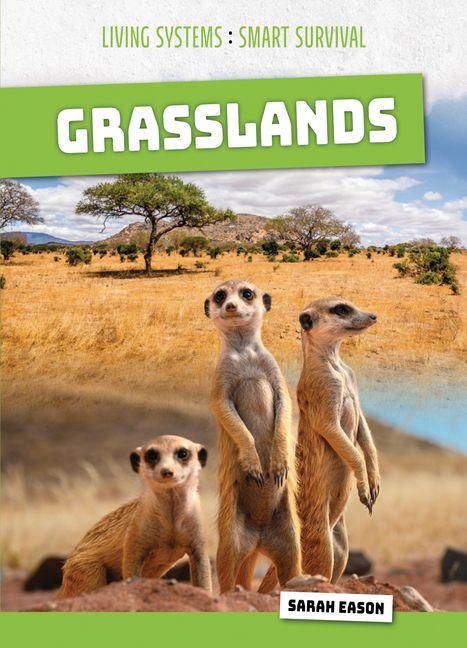 Produktbild: Grasslands