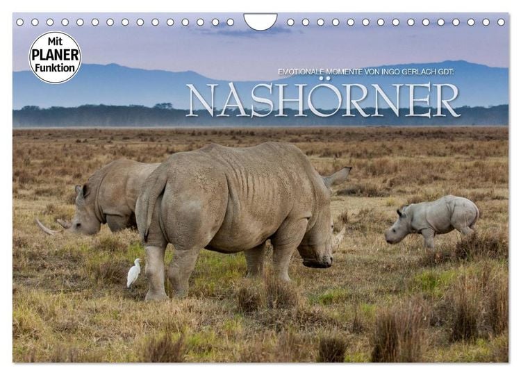 Produktbild: Emotionale Momente: Nash&ouml;rner (Wandkalender 2026 DIN A4 quer), CALVENDO Monatskalender