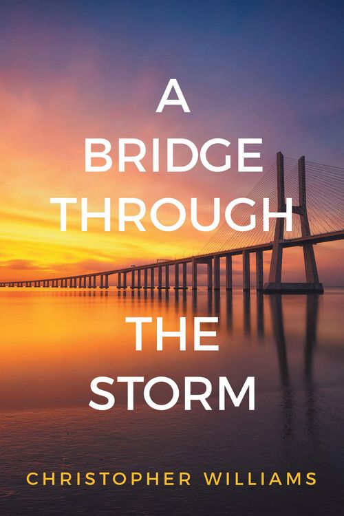 Produktbild: A Bridge Through the Storm