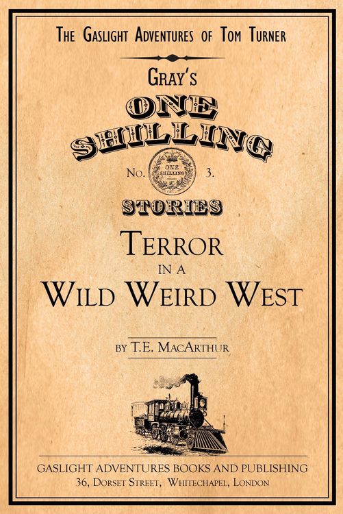 Produktbild: Terror in a Wild Weird West (The Gaslight Adventures of Tom Turner, #3)