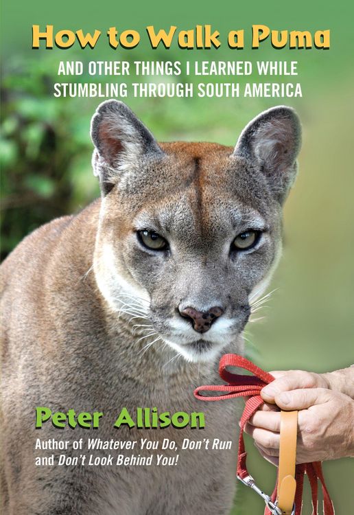 Produktbild: How to Walk a Puma
