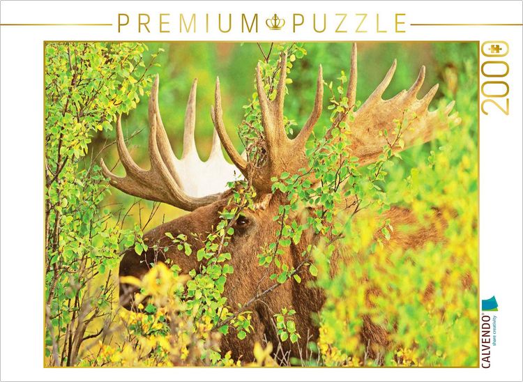 Produktbild: CALVENDO Puzzle Der Elch: K&ouml;nig der Hirsche | 2000 Teile Lege-Gr&ouml;&szlig;e 90x67cm Foto-Puzzle f&uuml;r gl&uuml;ckliche Stunden