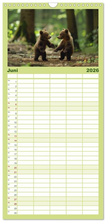 Produktbild: Familienplaner 2026 - Wildes B&auml;renland mit 5 Spalten (Wandkalender, 21 x 45 cm) CALVENDO