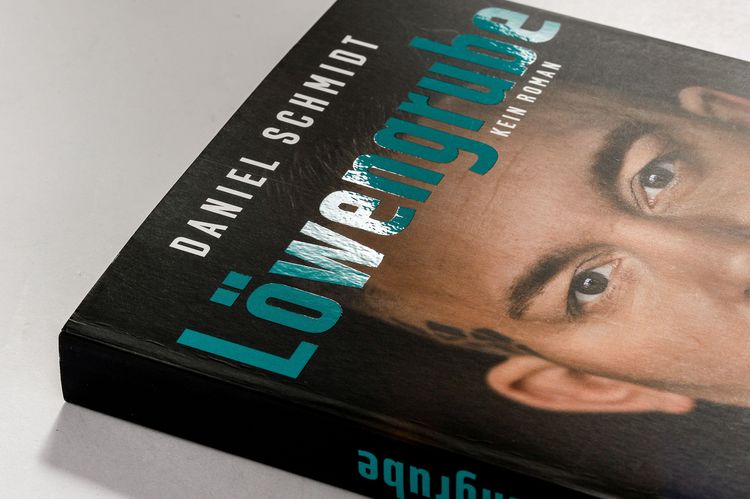 Produktbild: L&ouml;wengrube