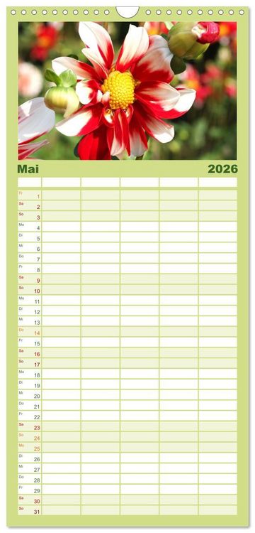 Produktbild: Familienplaner 2026 - Traumhafte Dahlien mit 5 Spalten (Wandkalender, 21 x 45 cm) CALVENDO
