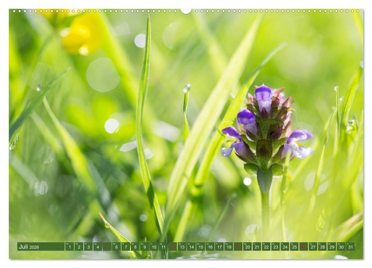 Produktbild: Die Natur hautnah (hochwertiger Premium Wandkalender 2026 DIN A2 quer), Kunstdruck in Hochglanz