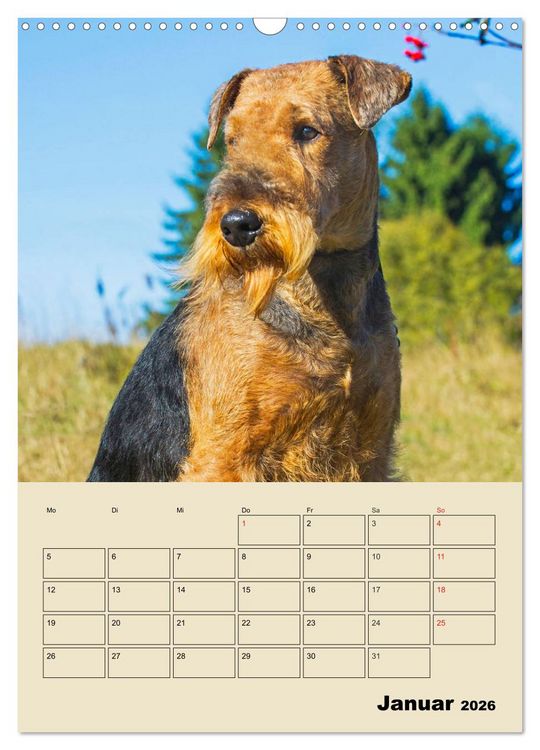 Produktbild: Airedale Terrier - Temperament auf 4 Pfoten (Wandkalender 2026 DIN A3 hoch), CALVENDO Monatskalender