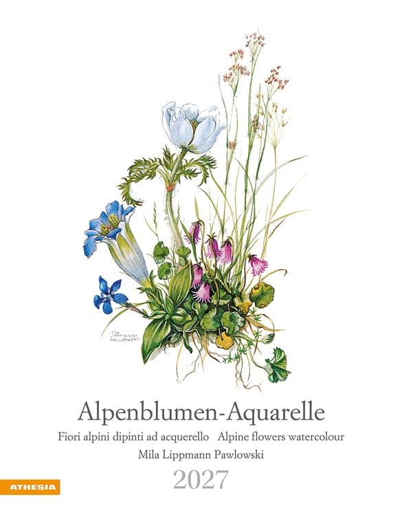 Produktbild: Alpenblumen-Aquarelle Kalender 2027