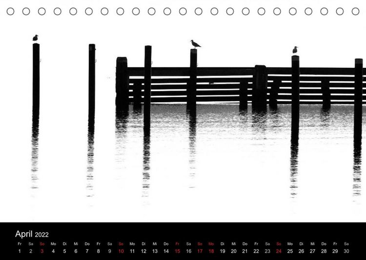 Produktbild: Kieler V&ouml;gel (Tischkalender 2022 DIN A5 quer)