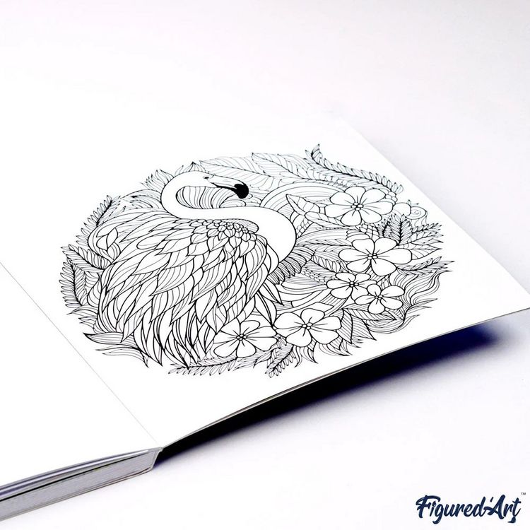 Produktbild: FiguredArt CB-AU01 - Malbuch f&uuml;r Erwachsene, Tieruniversum, 50 Seiten, 21x21cm