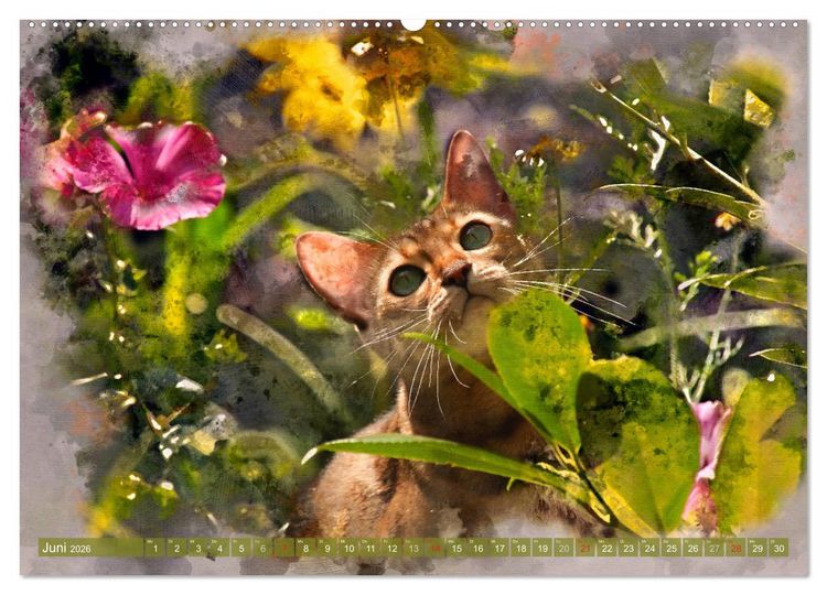 Produktbild: Katzenkalender mausgemalt (hochwertiger Premium Wandkalender 2026 DIN A2 quer), Kunstdruck in Hochglanz