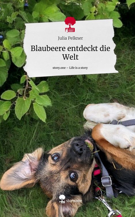 Produktbild: Blaubeere entdeckt die Welt. Life is a Story - story.one