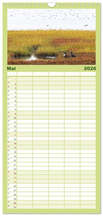Produktbild: Familienplaner 2026 - Pellworm - Das Inselparadies mit 5 Spalten (Wandkalender, 21 x 45 cm) CALVENDO