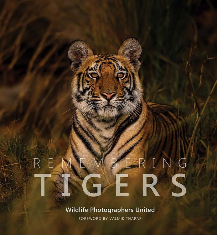 Produktbild: Remembering Tigers