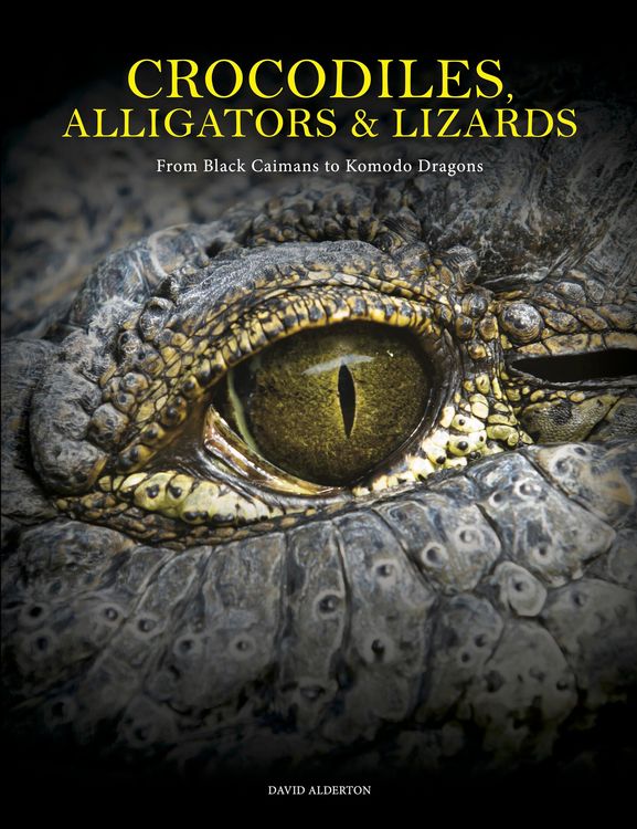 Produktbild: Crocodiles, Alligators & Lizards