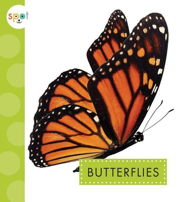 Produktbild: Butterflies