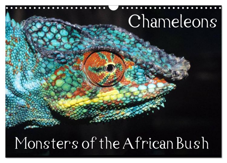 Produktbild: Chameleons Monsters of the African Bush (Wall Calendar 2026 DIN A3 landscape), CALVENDO 12 Month Wall Calendar