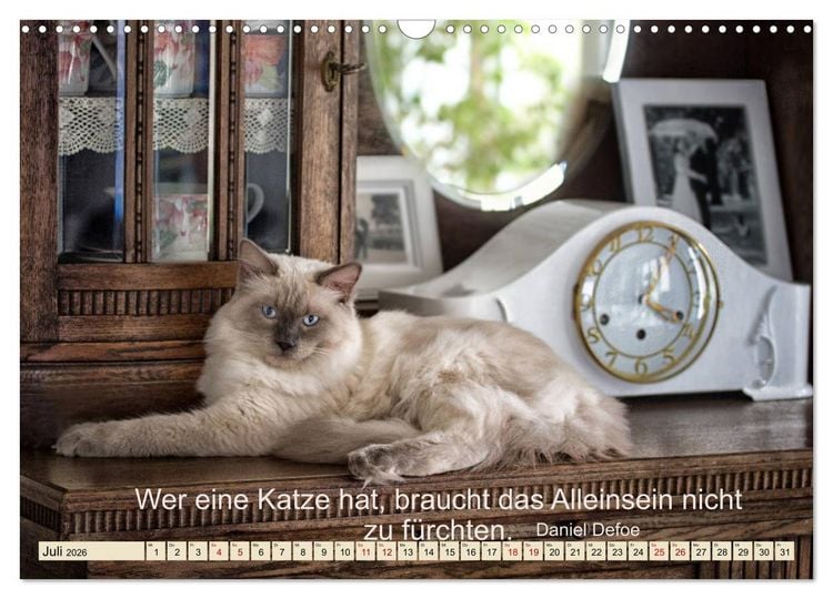 Produktbild: Samtpfoten Lebendige Poesie (Wandkalender 2026 DIN A3 quer), CALVENDO Monatskalender