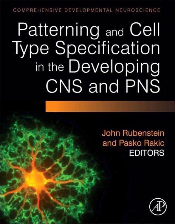 Produktbild: Patterning and Cell Type Specification in the Developing CNS and PNS