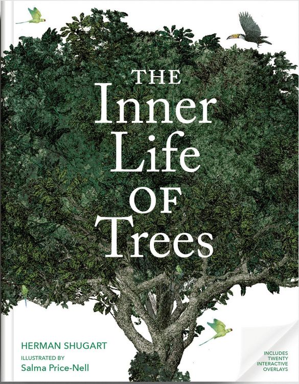 Produktbild: The Inner Life of Trees