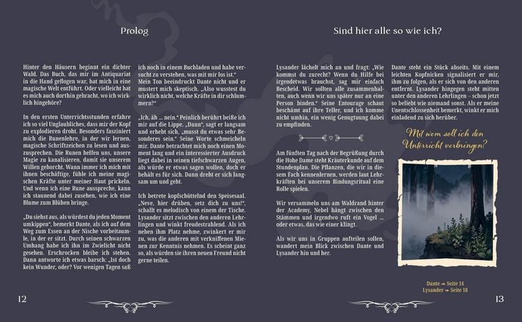Produktbild: Dark Hearts & Magic Minds &ndash; Eine R&auml;tsel-Romantasy