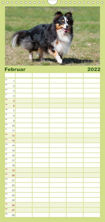 Produktbild: Sheltie 2022 - Familienplaner hoch (Wandkalender 2022 , 21 cm x 45 cm, hoch)