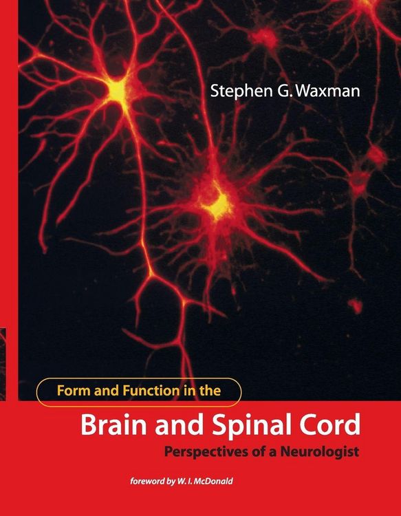 Produktbild: Form and Function in the Brain and Spinal Cord