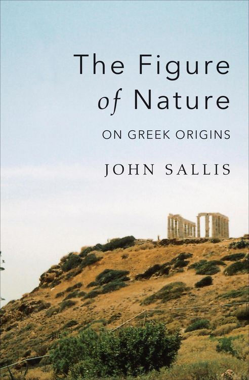 Produktbild: The Figure of Nature
