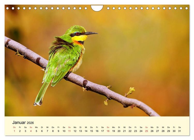 Produktbild: Traumhaftes Malawi (Wandkalender 2026 DIN A4 quer), CALVENDO Monatskalender