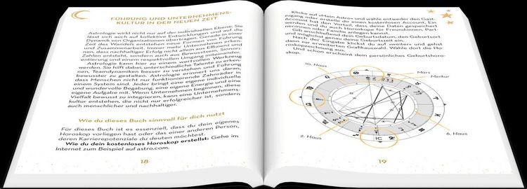 Produktbild: Kosmischer Karriere Guide -Wie Du mit den Sternen deine wahre Berufung findest