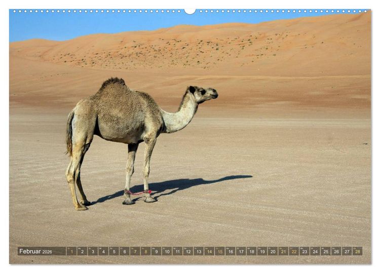 Produktbild: Sultanat Oman (Wandkalender 2026 DIN A2 quer), CALVENDO Monatskalender