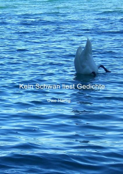 Produktbild: Kein Schwan liest Gedichte