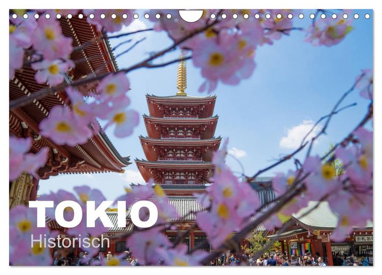 Produktbild: Tokio Kalender mit historischen Tempeln und Schreinen (Wandkalender 2026 DIN A4 quer), CALVENDO Monatskalender