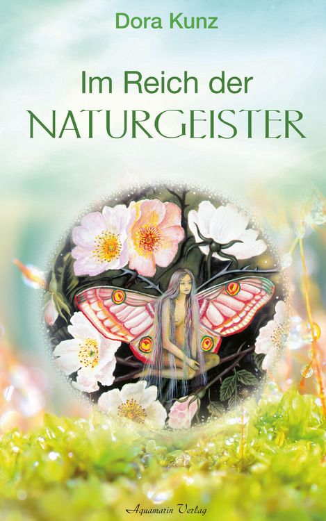 Produktbild: Im Reich der Naturgeister