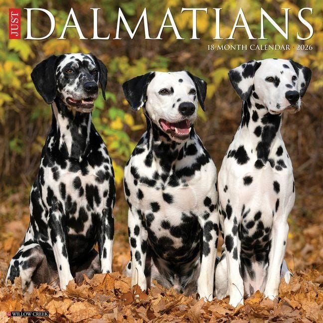 Produktbild: Dalmations 2026 Wall Calendar