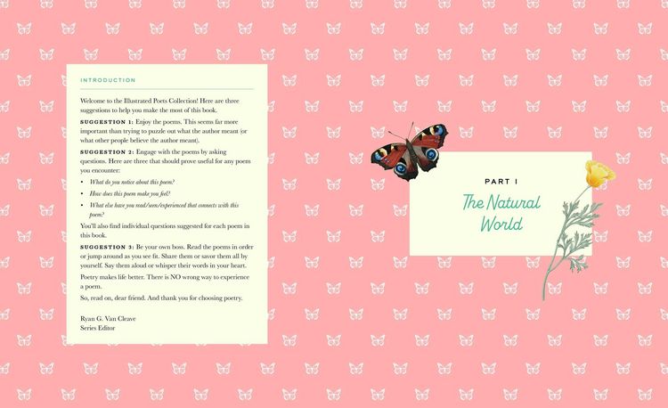 Produktbild: The Illustrated Emily Dickinson