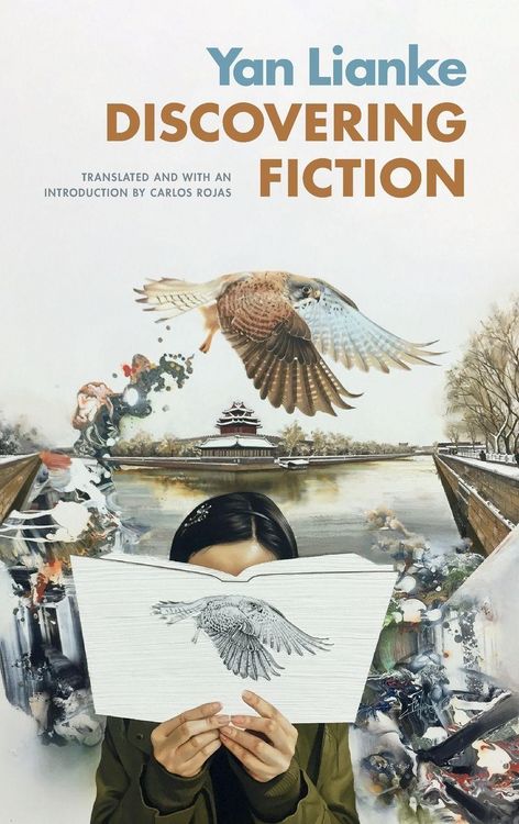 Produktbild: Discovering Fiction